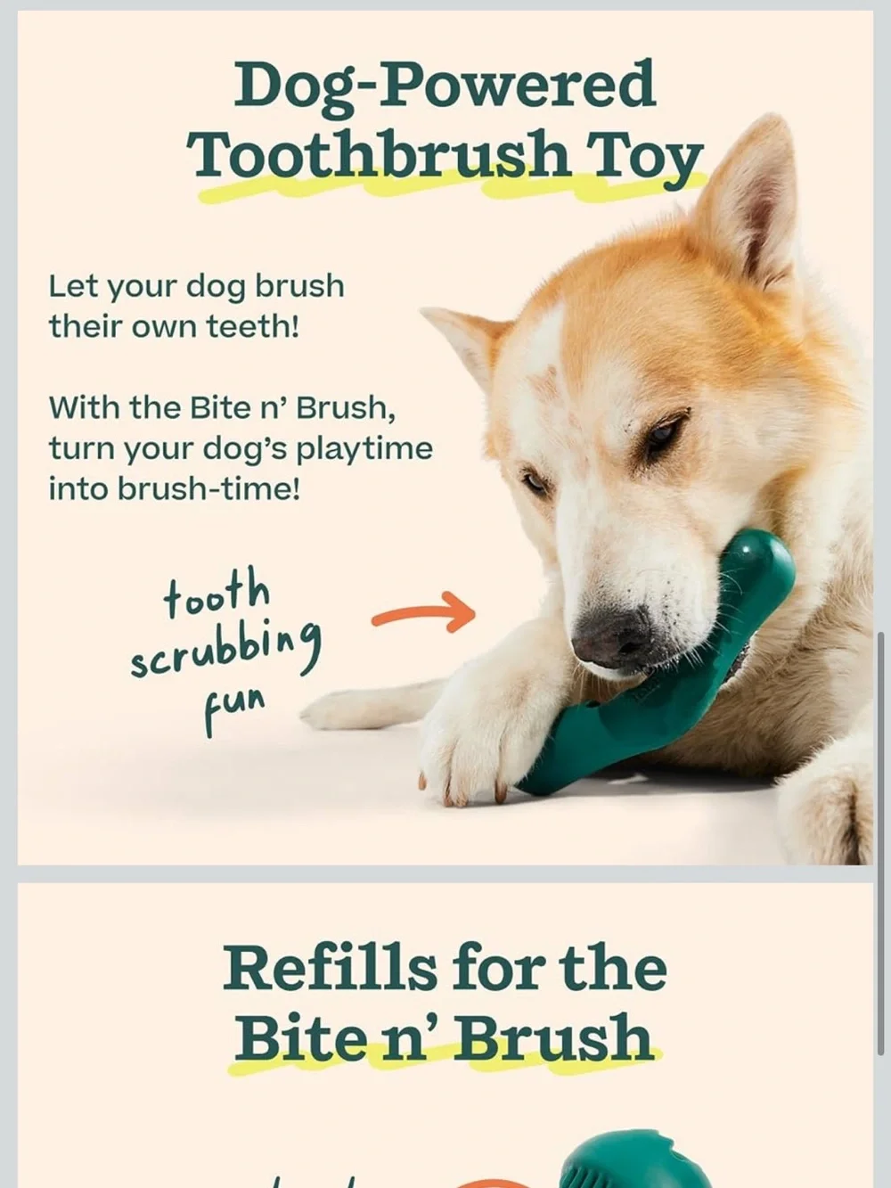 Woof Bite n' Brush Dental Toy & Refill treats Dark Green